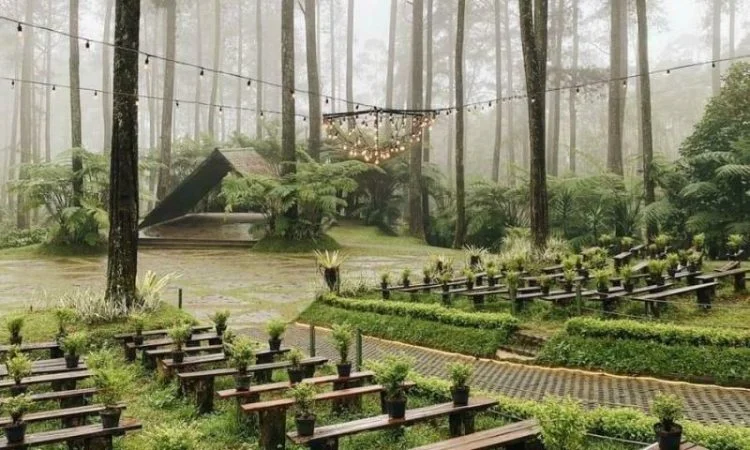 Orchid Forest Cikole Lembang: Lokasi Wisata dan Harga Tiket Masuk