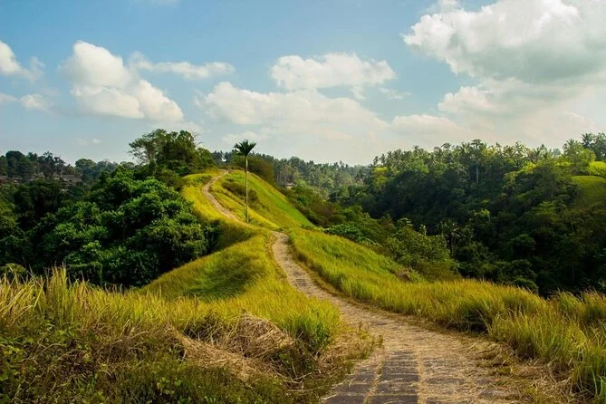 Wisata Sembari Olahraga di Campuhan Ridge Walk