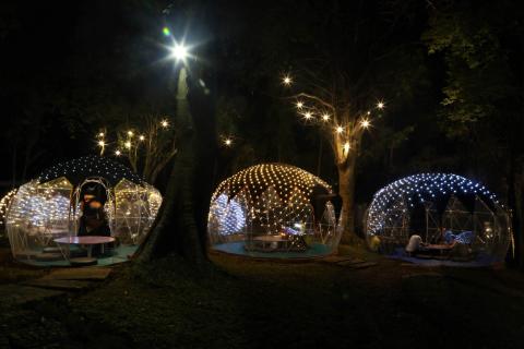 Jungle Camp Cafe Tempat Santai yang Viral di Mojokerto
