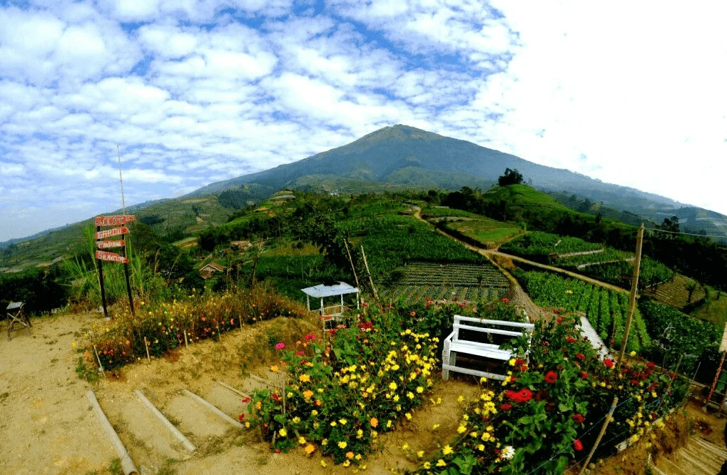 Jalan-Jalan Menikmati Keindahan Wisata Magelang Yang Sudah Dibuka 2 Gardu-Pandang-Silancur-Magelang