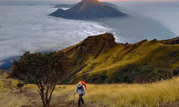 10 Gunung Di Wonosobo Dengan Pemandangan Yang Indah 2 Gunung-Di-Wonosobo-Gunung-Sumbing