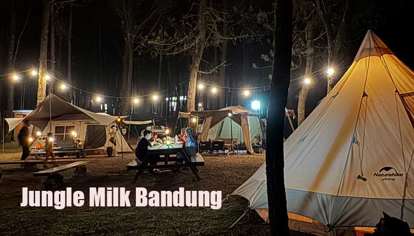 Jungle Milk Bandung