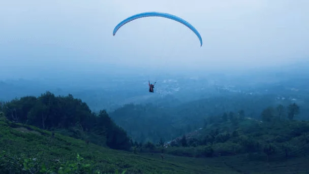 Wisata Puncak Bogor, Dekat Ibu Kota dan Akses Mudah 2 Kebun Wisata Inkarla