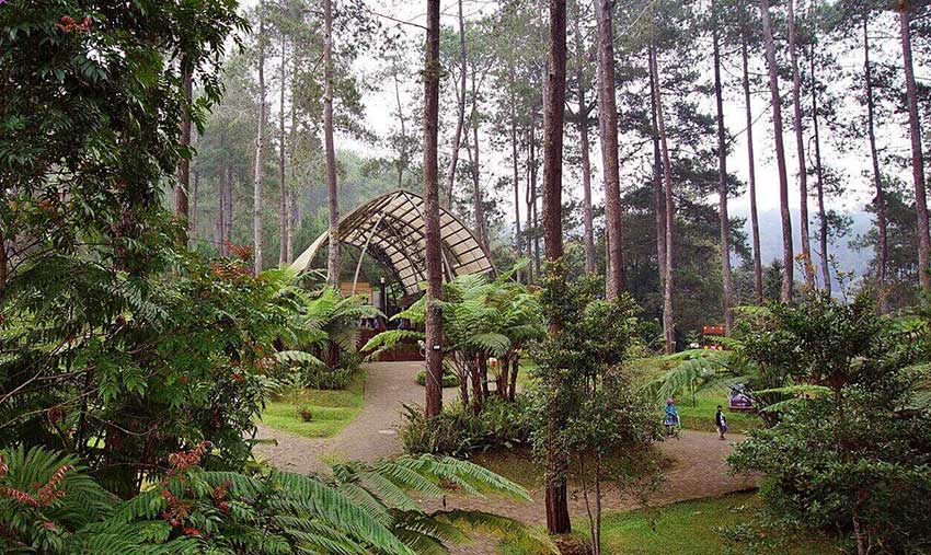 Orchid Forest Cikole Lembang