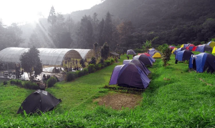 Ini Lho Wisata Puncak Terbaik di Jawa Barat