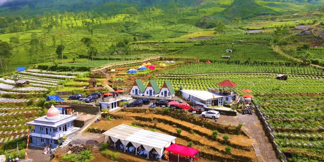 4 Rekomendasi Wisata Sejarah Wonosobo dari Candi hingga Museum yang Wajib Dikunjungi