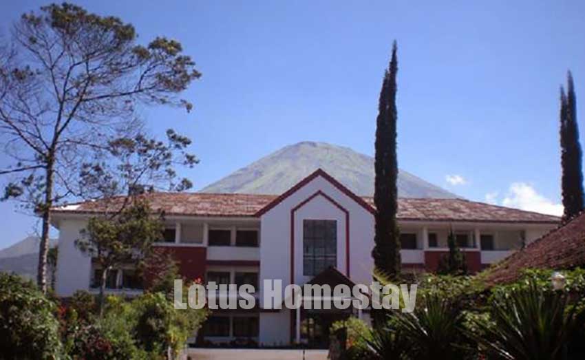 Lotus Homestay dieng