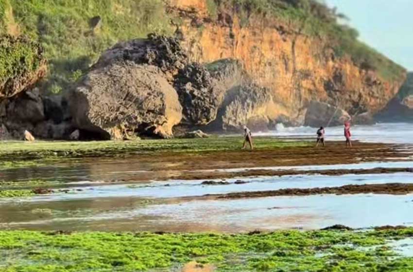 Pantai Ngrumput Gunungkidul