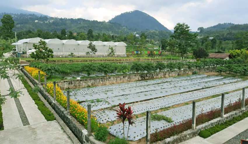 Taman Agrowisata Amanah