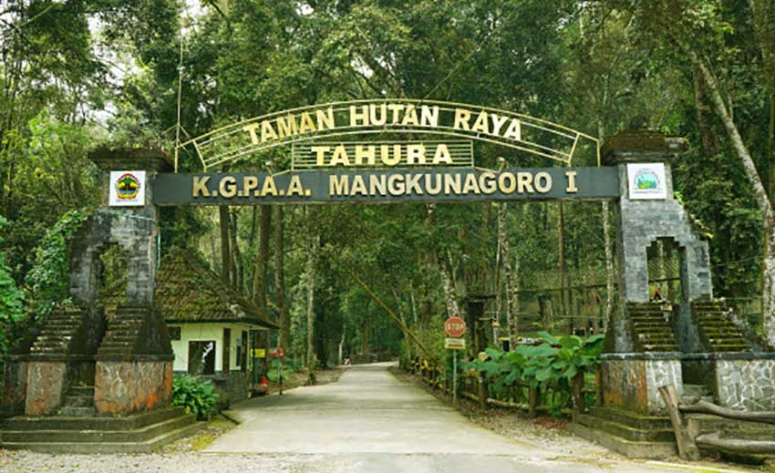 Taman Hutan Raya Ngargoyoso