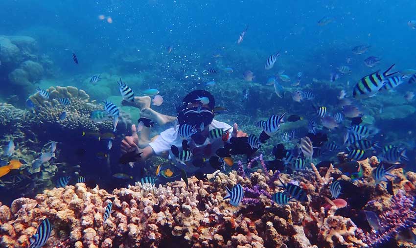 Wisata Pantai di Taman Nasional Karimun Jawa