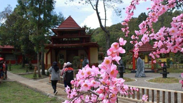 Objek Wisata Hits dan Harga Tiket Sakura Hills Tawangmangu 2023