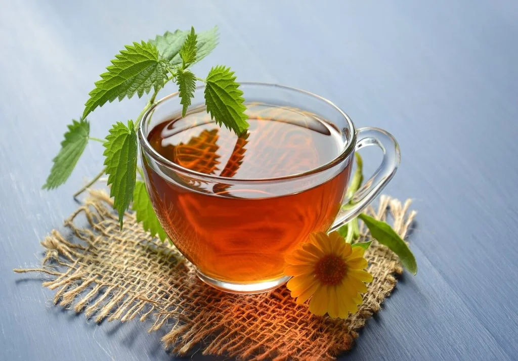 Inilah Beberapa Tanaman Obat Herbal yang Sudah Terbukti Khasiatnya 1 Tanaman Obat Herbal