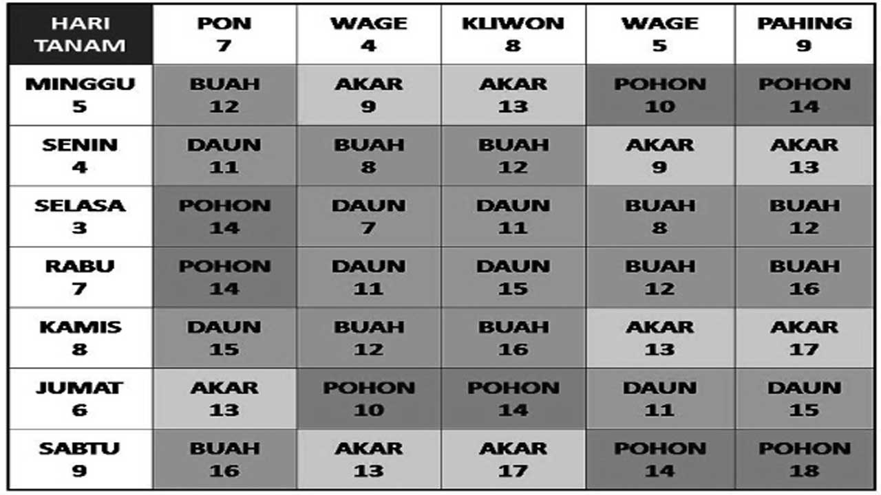 Hari Terbaik untuk Memulai Usaha Dagang: Panduan Berdasarkan Analisis dan Kepercayaan Populer